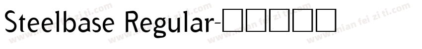Steelbase Regular字体转换